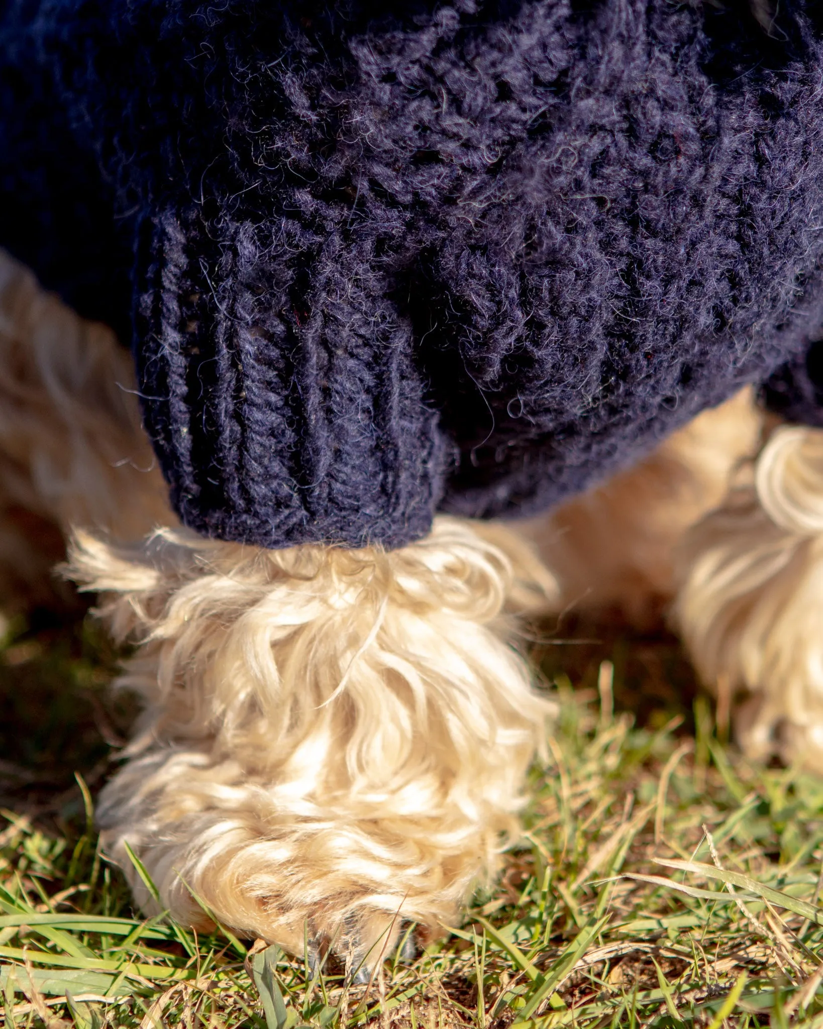 Downtown Roll Neck Dog Sweater in Navy