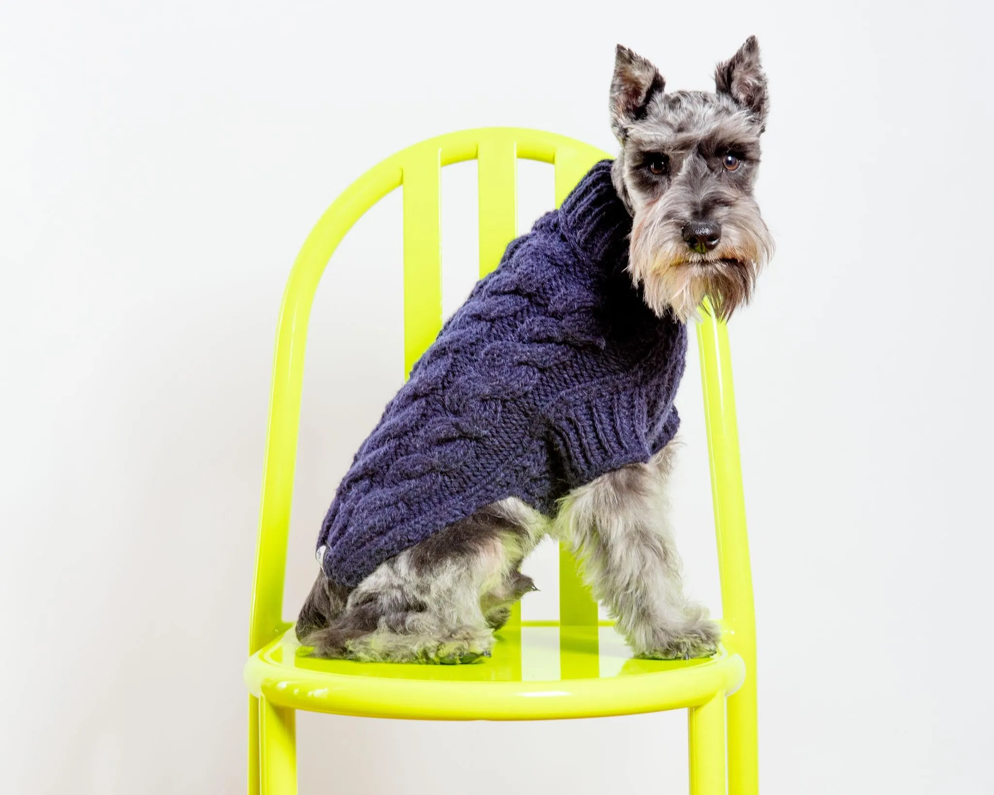 Downtown Roll Neck Dog Sweater in Navy