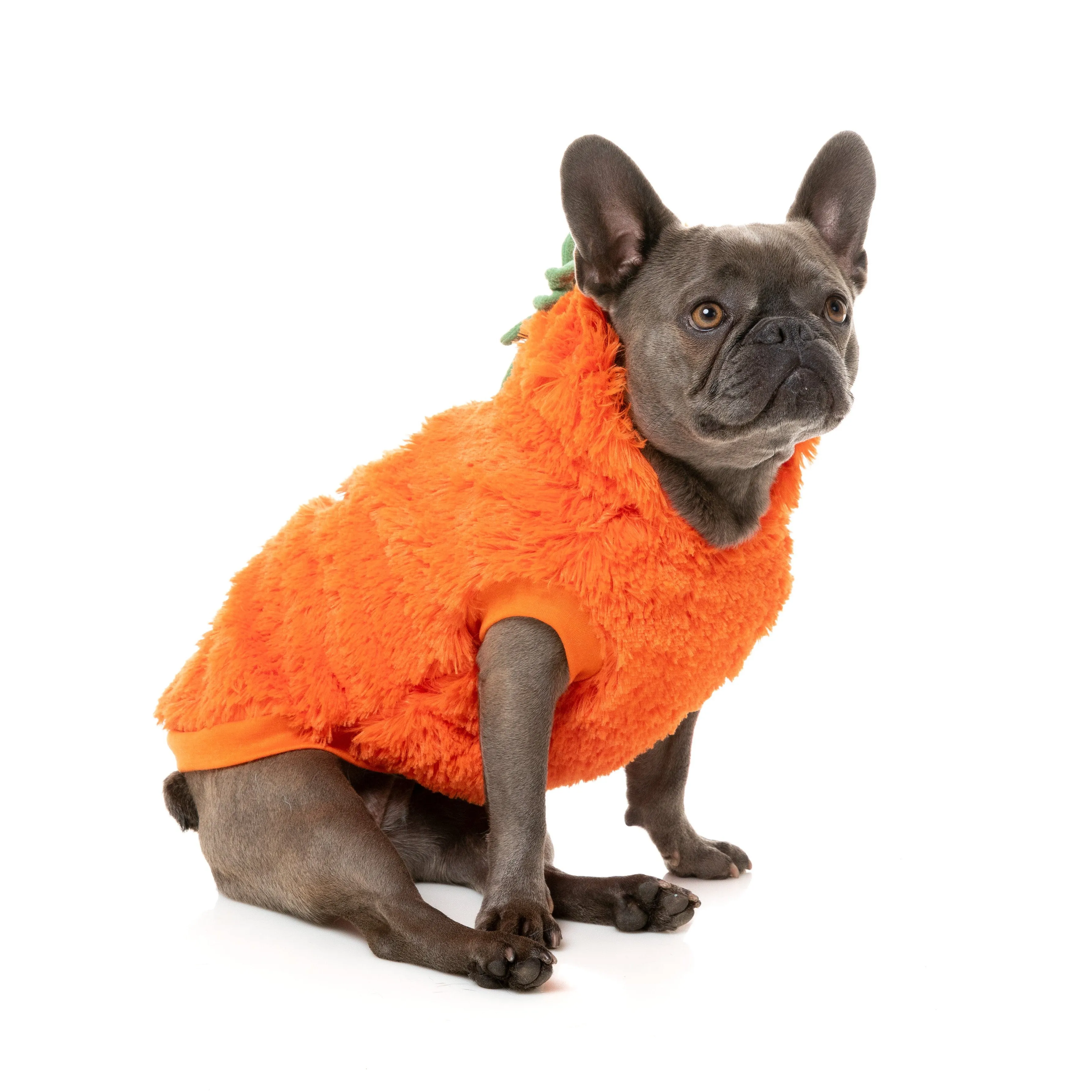 FuzzYard Halloween Dog Apparel Pumpkin Head Hoodie Size 1***