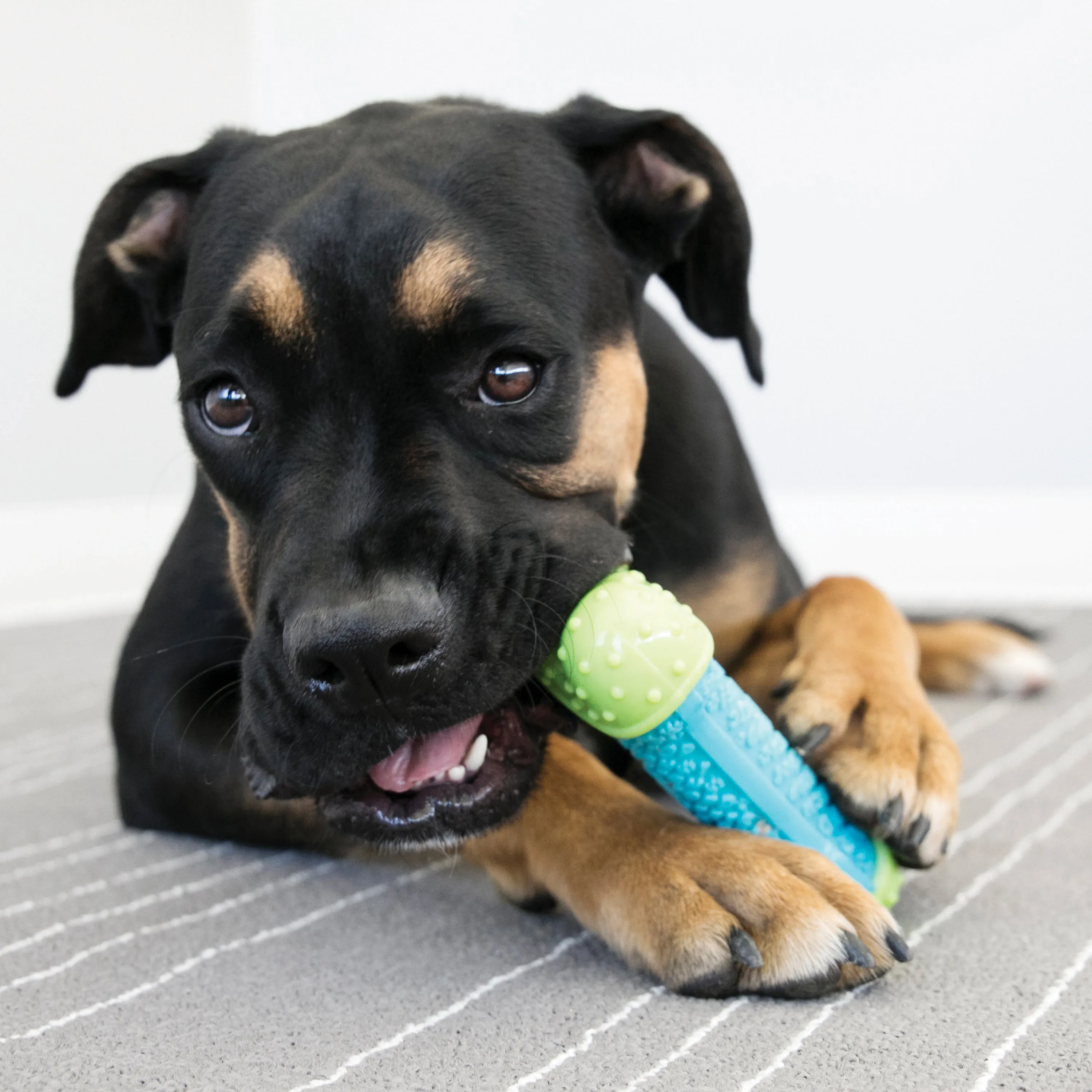 Kong Corestrength Bone Dog Toy