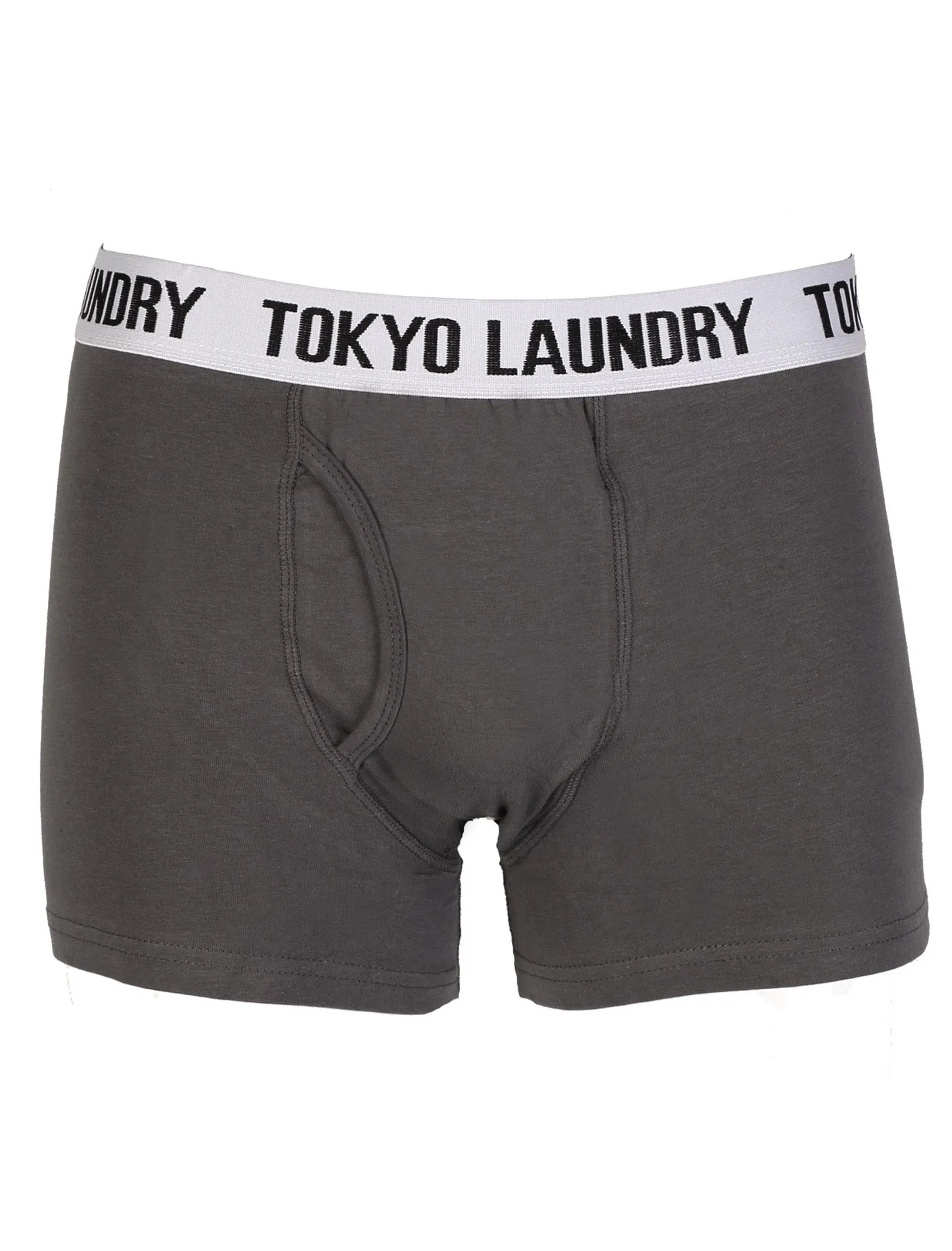 Minnesota (2 Pack) Boxer Shorts In Castle Rock / Estate Blue - Tokyo Laundry