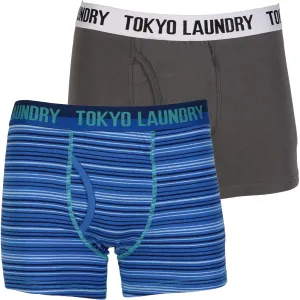 Minnesota (2 Pack) Boxer Shorts In Castle Rock / Estate Blue - Tokyo Laundry