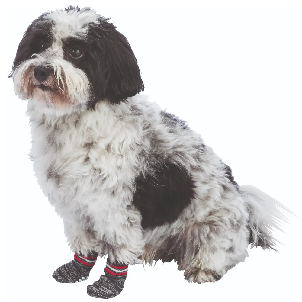 Trixie Non Slip Socks for Dogs (Grey, Set of 4)